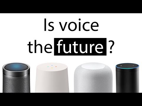 Is voice really the future of computing?